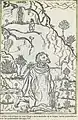 Gravure du XVIe&nbsp;siècle des apparitions de la Vierge, sans la couronne
