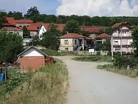 Grajevce