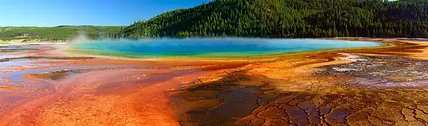 Grand Prismatic Spring vu du sol.