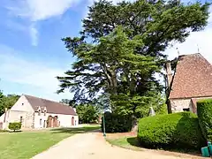 La grange « dîmière » et un cèdre remarquable.