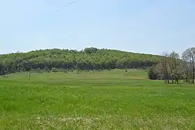 Grant Township (Pennsylvanie)