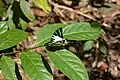 Kerala, Inde