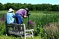 Observateurs d'oiseaux