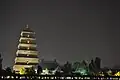 vue nocturne de la Grande pagode de l'oie sauvage