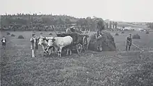 Fenaison.