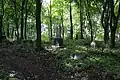 Vue d'une allée à moitié disparue