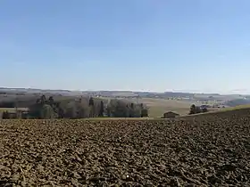 Montilliez