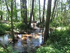 Parc naturel Dahme-Heideseen&nbsp;(de) en Brandebourg (Allemagne), 2013