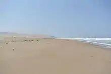 Cordon dunaire à Guadalupe