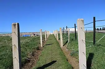 Sentier d'accès au cimetière.