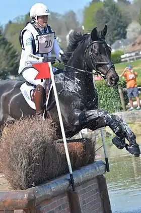 Image illustrative de l’article Gwendolen Fer