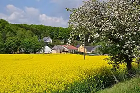 Hüttingen bei Lahr
