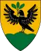 Blason de Patca