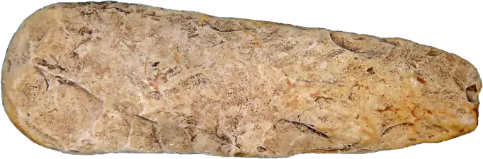 Hache partiellement polie : la phase de façonnage est encore perceptible.