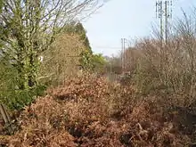 Vue de la voie ferrée abandonnée, avant les travaux pour la réouverture.