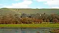 Vue sur les prairies aquatiques en direction de Child Okeford et Hambledon Hill, Dorset.