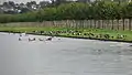 Long Water