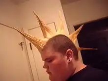 Crête coiffée avec des pics : Liberty spikes (en).