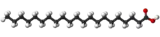Image illustrative de l’article Acide hénéicosylique