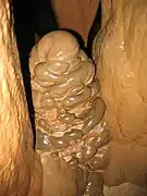 Stalagmite en formation (Hérault).