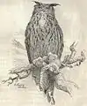 Grand-duc d'Europe