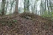 Glacière du domaine de Nény, Fontigny