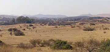 Végétation à Highveld, près de Johannesburg
