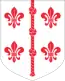 Blason de Comté de Hiiu