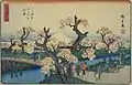 Fleurs Meisho (Koganei).
