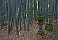 Gorintō au milieu de la forêt de bambous