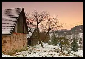 Holenice