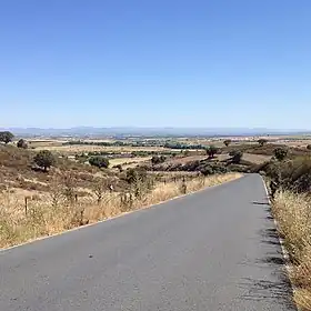 Holguera