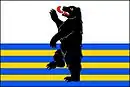 Drapeau de Horní Pěna