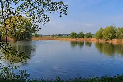 Étang à Veselí.