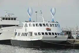 Hornblower Hybrid, utilisant diésel, éoliennes Savonius hélicoïdale et panneaux photovoltaïques.