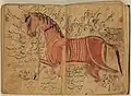 Les "bons points" et éléments à retenir pour élever des chevaux de guerre, double page illustrée du Kitāb al-bayṭara, par Aḥmad ibn ʿAtīq al-Azdī (XIIIe&nbsp;siècle).