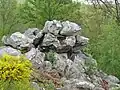 Amas de roches en forme de caniche.
