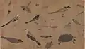 Les Oiseaux précieux décrits sur le vif, Huang Quan, vers 960. Rouleau portatif, encre et couleurs sur soie. 41,5&nbsp;×&nbsp;70&nbsp;cm. Musée du Palais, Pékin.