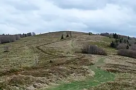 Image illustrative de l’article Hundskopf (Schweisel)