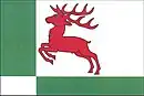 Drapeau de Hynčina