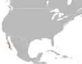 Distribution de Hypsiglena ochrorhyncha venusta