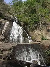 Les Monkey Falls&nbsp;(en)