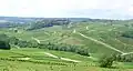 Vue d'une partie du vignoble de Château-Chalon.