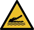 W067 – Crocodiles, alligators ou caïmans