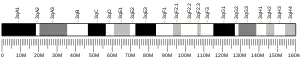 Chromosome 3 (souris)