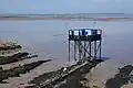 Cabanes de pêche au carrelet (sans ponton d'accès), avec l'île d'Aix au loin.