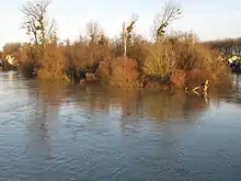 Ile Refuge en hiver