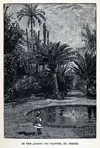 Bassin du jardin.