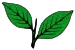 Deux feuilles