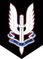 Insigne de béret du 1er RPIMa « Qui ose gagne », depuis le 11 avril 2017.